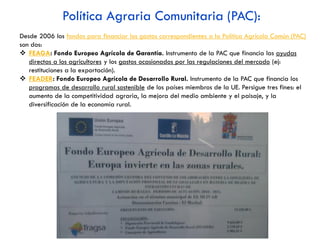 Acolchado: técnica agrícola que consiste en cubrir el
cultivo con bandas de plástico, para crear un microclima
que acelere el crecimiento de las cosechas.
 