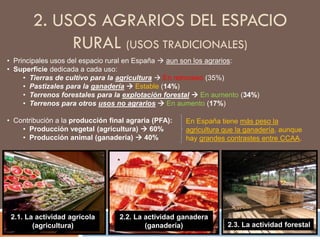 REGADÍO: práctica agrícola que consiste en aportar
a los cultivos agua adicional a la proporcionada por
las precipitaciones. Para ello se emplean distintos
sistemas: por gravedad, por aspersión o por goteo.
 