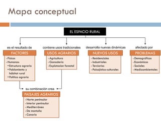 Mapa conceptual
EL ESPACIO RURAL
FACTORES
CONDICIONANTES
USOS AGRARIOS NUEVOS USOS
es el resultado de contiene usos tradicionales desarrolla nuevas dinámicas
-Físicos
-Humanos:
• Estructura agraria (población
rural, sistemas de propiedad y
explotación, y técnicas y sistemas
agrarios)
• Política agraria
-Agricultura
-Ganadería
-Explotacion forestal
-Residenciales
-Industriales
-Terciarios
-Paisajístico-culturales
su combinación crea
PAISAJES AGRARIOS
-Norte peninsular
-Interior peninsular
-Mediterráneo
-De montaña
-Canario
afectado por
PROBLEMAS
-Demográficos
-Económicos
-Sociales
-Medioambientales
 