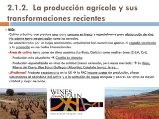 GANADO PORCINO:
Destino de la
producción
Consumo fresco y elaboración de embutidos
(chacinería).
Áreas
productoras
 En régimen extensivo y basado en razas
autóctonas de calidad (cerdo ibérico) 
dehesas de Andalucía, Extremadura,
Salamanca y Zamora.
 En régimen intensivo  Cataluña y
Murcia.
Características
de la producción
España es el 2º productor de carne de
cerdo de la UE, y gran parte de ella se
exporta.
 
