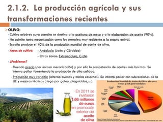 3. Granjas de gallinas en jaulas: Las gallinas
están dentro de jaulas diseñadas
especialmente para facilitar la recogida de los
huevos, evitando que se ensucien con el
estiércol. Tienen acceso continuo al agua y a
una alimentación equilibrada. Estas
instalaciones facilitan el control sanitario y la
limpieza. Es el sistema más habitual en
España.
2. Granjas de gallinas en suelo: Las gallinas
se mueven libremente dentro del gallinero, en
el que tienen comida, agua, ponederos y zonas
de descanso.
1. Granjas de gallinas camperas: Las granjas
tienen, además de un gallinero como el de las
gallinas en suelo, corrales al aire libre donde
las gallinas salen a picotear, escarbar y darse
baños de arena.
0. Granjas de gallinas ecológicas: Las
instalaciones son similares a las granjas
camperas, pero las gallinas se alimentan con
pienso que procede de la agricultura ecológica
y tienen que cumplir las normas específicas de
esta producción.
 