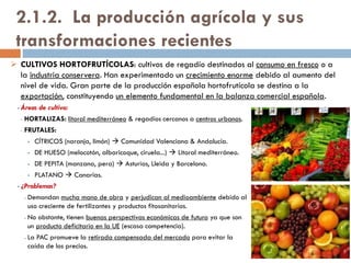 Tierra de
Pinares
(Soria)
Eucaliptos (Huelva)
Bosques oceánicos y
repoblaciones de
eucalipto y pino en el
norte peninsular
 