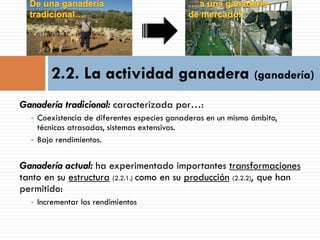 3. LOS PAISAJES AGRARIOS DE ESPAÑA
 