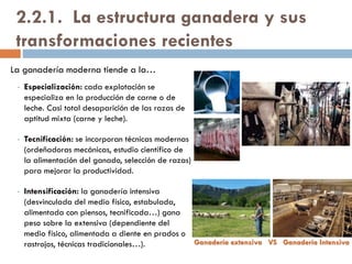 Elementos de los paisajes agrarios
POBLAMIENTO ≠ HÁBITAT RURAL
 Poblamiento rural = asentamientos humanos existentes en el espacio
rural. En España son considerados municipios rurales aquellos que
tienen <10.000 hab. (aunque hay excepciones: agrociudades).
 TIPOLOGÍAS:
CONCEPTOS A
ENTENDER
 DISPERSO: casas separadas
entre sí, y rodeadas de
terrazgo. Predomina en la
periferia peninsular (norte,
litoral mediterráneo…),
Baleares y Canarias. Tipos:
• Absoluto
• Laxo
 INTERCALAR: intermedio
entre el disperso y el
concentrado. Casas
diseminadas a partir de
antiguos núcleos
concentrados.
 CONCENTRADO: casas
agrupadas formando
pueblos, y separadas del
terrazgo. Predomina en el
interior peninsular. 2 tipos:
• Lineal
• Apiñado
 