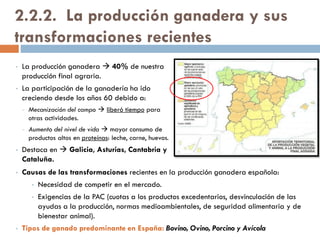 Poblamiento disperso
absoluto
Todas las casas están aisladas unas
de otras.
 