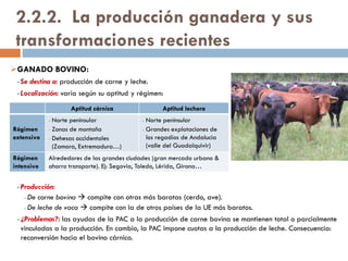 Poblamiento disperso
laxo
Pequeñas agrupaciones de casas
formando aldeas.
 