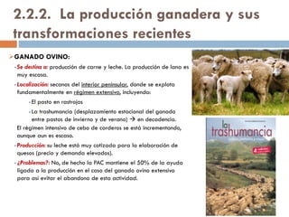 Poblamiento
concentrado lineal
Casas dispuestas a los lados de
una vía.
Poblamiento
concentrado apiñado
Casas dispuestas en torno a un
núcleo.
 