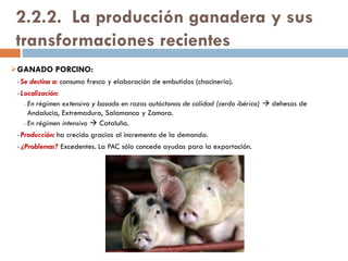 Poblamiento intercalar
Una dispersión de casas a partir
de un primitivo núcleo concentrado
debida al crecimiento
demográfico. Es el más frecuente.
 