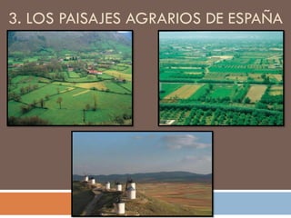 Cubiertas inclinadas
VS
cubiertas planas
 