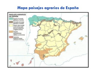Ejemplos de casa compuesta
CORTIJO ANDALUZ
MASÍA CATALANA
 