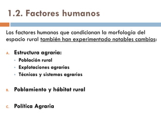 1.2. Condicionantes humanos
El espacio rural también se ve influido por una serie de
condicionantes humanos, que han experimentado notables
cambios:
A. Estructura agraria:
 Población rural
 Explotaciones agrarias
 Técnicas y sistemas agrarios
B. Política Agraria
 