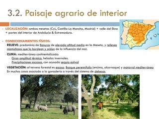 Cultivo de vid
en Galicia
Más info:
http://www.turgalicia.es/presentacion-
paseando-entre-vinedos?langId=es_ES
 