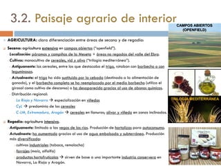 3.2. Paisaje agrario de interior
 LOCALIZACIÓN: Meseta + valle del Ebro + interior de Andalucía & Extremadura.
 MEDIO FÍSICO:
• RELIEVE: predominio de llanuras de elevada altitud media en la Meseta, y relieves
montañosos que la bordean y aíslan de la influencia del mar.
• CLIMA: mediterráneo continentalizado:
o Fuertes contrastes térmicos estacionales, heladas invernales.
o Precipitaciones escasas, con acusada sequía estival
• VEGETACIÓN: escaso terreno forestal. Bosque perennifolio (encima, alcornoque), conservado parcialmente a
través del sistema de dehesas, que se asocia con la ganadería.
 