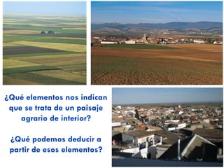 3.2. Paisaje agrario de interior
 AGRICULTURA: clara diferenciación entre áreas de secano y de
regadío:
 SECANO: agricultura extensiva en campos abiertos (“openfield”).
 Destaca en páramos y campiñas de la Meseta. Tb en zonas del valle
del Ebro y del Guadalquivir.
 Monocultivo de cereales, vid y olivo (“trilogía mediterránea”).
• Antiguamente: principalmente trigo, que rotaban con barbecho o leguminosas.
• Actualmente: predomina la cebada (alimentación de ganado), y el barbecho
completo se ha reemplazado por el medio barbecho (girasol como cultivo de
descanso) o ha desaparecido (abonos químicos).
 Distribución regional:
‐ CyL  predominio de los cereales
‐ C-LM, Extremadura, interior Andalucía  tb olivo y vid.
‐ La Rioja y Navarra  especialización en viñedos
CAMPOS ABIERTOS
(OPENFIELD)
TRILOGÍA MEDITERRÁNEA
 