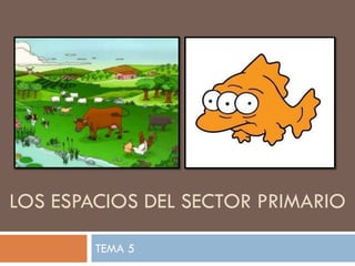 LOS ESPACIOS DEL SECTOR PRIMARIO
TEMA 5
 