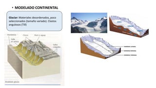 • MODELADO CONTINENTAL
Glaciar: Materiales desordenados, poco
seleccionados (tamaño variado). Clastos
angulosos (Till)
 