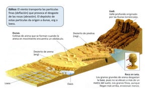 Eólico: El viento transporta las partículas
finas (deflación) que provoca el desgaste
de las rocas (abrasión). El depósito de
estas partículas da origen a dunas, erg o
loess.
 