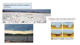 Lacustre: Sedimentos detríticos, orgánicos
y químicos.
 