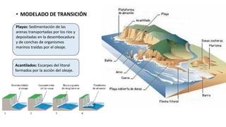 • MODELADO DE TRANSICIÓN
Playas: Sedimentación de las
arenas transportadas por los ríos y
depositadas en la desembocadura
y de conchas de organismos
marinos traídas por el oleaje.
Acantilados: Escarpes del litoral
formados por la acción del oleaje.
 