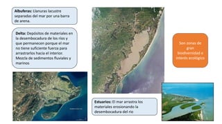 Albuferas: Llanuras lacustre
separadas del mar por una barra
de arena.
Delta: Depósitos de materiales en
la desembocadura de los ríos y
que permanecen porque el mar
no tiene suficiente fuerza para
arrastrarlos hacia el interior.
Mezcla de sedimentos fluviales y
marinos
Son zonas de
gran
biodiversidad e
interés ecológico
Estuarios: El mar arrastra los
materiales erosionando la
desembocadura del rio
 