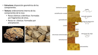 • Estructura: disposición geométrica de los
componentes.
• Textura: ordenamiento interno de los
componentes de la roca:
• Rocas clásticas o detríticas: Formadas
por fragmentos de otras.
• Rocas no clásticas: Formadas por
precipitación.
 
