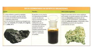 Ud 5. Geodinámica externa