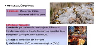 • METEORIZACIÓN QUÍMICA
 