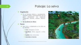 UD 5. climas y paisajes de la Tierra | PDF