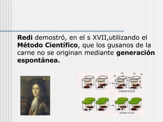 Redi  demostró, en el s XVII,utilizando el  Método Científico , que los gusanos de la carne no se originan mediante  generación espontánea. 