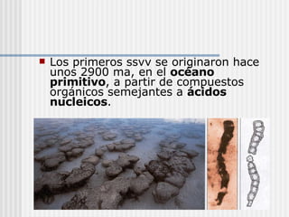 Los primeros ssvv se originaron hace unos 2900 ma, en el  océano   primitivo , a partir de compuestos orgánicos semejantes a  ácidos nucleicos . 