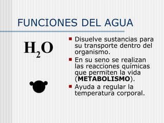 FUNCIONES DEL AGUA Disuelve sustancias para su transporte dentro del organismo. En su seno se realizan las reacciones químicas que permiten la vida ( METABOLISMO ). Ayuda a regular la temperatura corporal. H 2 O 