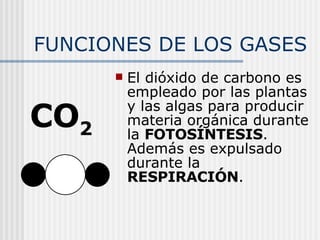 FUNCIONES DE LOS GASES El dióxido de carbono es empleado por las plantas y las algas para producir materia orgánica durante la  FOTOSÍNTESIS . Además es expulsado durante la  RESPIRACIÓN . CO 2 