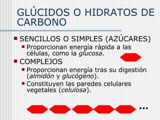 GLÚCIDOS O HIDRATOS DE CARBONO SENCILLOS O SIMPLES (AZÚCARES) Proporcionan energía rápida a las células, como la  glucosa . COMPLEJOS Proporcionan energía tras su digestión ( almidón  y  glucógeno ). Constituyen las paredes celulares vegetales ( celulosa ). ... 