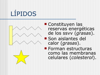 LÍPIDOS Constituyen las reservas energéticas de los ssvv ( grasas ). Son aislantes del calor ( grasas ). Forman estructuras como las membranas celulares ( colesterol ). 