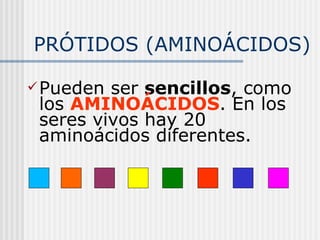 PRÓTIDOS (AMINOÁCIDOS) Pueden ser  sencillos , como los  AMINOÁCIDOS . En los seres vivos hay 20 aminoácidos diferentes. 