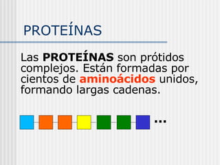 PROTEÍNAS Las  PROTEÍNAS  son prótidos complejos. Están formadas por cientos de  aminoácidos  unidos, formando largas cadenas. ... 