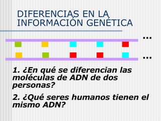 DIFERENCIAS EN LA INFORMACIÓN GENÉTICA ... ... 1. ¿En qué se diferencian las moléculas de ADN de dos personas? 2. ¿Qué seres humanos tienen el mismo ADN? 
