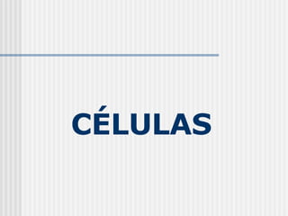 CÉLULAS   