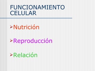 FUNCIONAMIENTO CELULAR Nutrición Reproducción Relación 