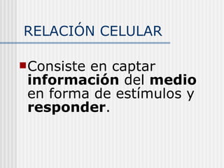 RELACIÓN CELULAR Consiste en captar  información  del  medio  en forma de estímulos y  responder . 