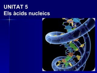 UNITAT 5 Els àcids nucleics 