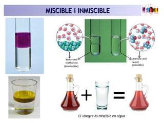 MISCIBLE i INMISCIBLEMISCIBLE i INMISCIBLE
 