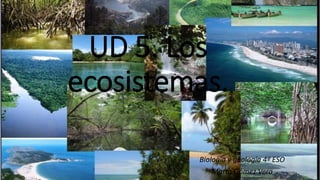 UD 5. Los
ecosistemas.
Biología y geología 4º ESO
Marta Gómez Vera
 