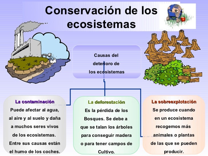 Ud 5 ecosistemas