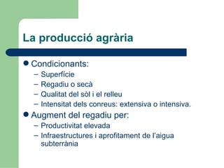 La producció agrària <ul><li>Condicionants: </li></ul><ul><ul><li>Superfície </li></ul></ul><ul><ul><li>Regadiu o secà </l...