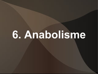 6. Anabolisme 