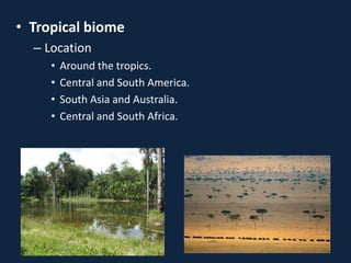 • Tropical biome
– Location
• Around the tropics.
• Central and South America.
• South Asia and Australia.
• Central and South Africa.
 