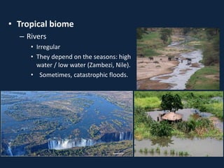 • Tropical biome
– Rivers
• Irregular
• They depend on the seasons: high
water / low water (Zambezi, Nile).
• Sometimes, catastrophic floods.
 