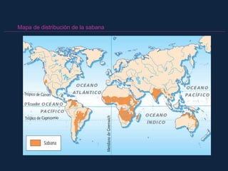 Mapa de distribución de la sabana
 