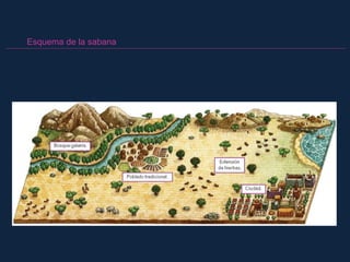 Esquema de la sabana
 